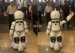 全智能機(jī)器人模型